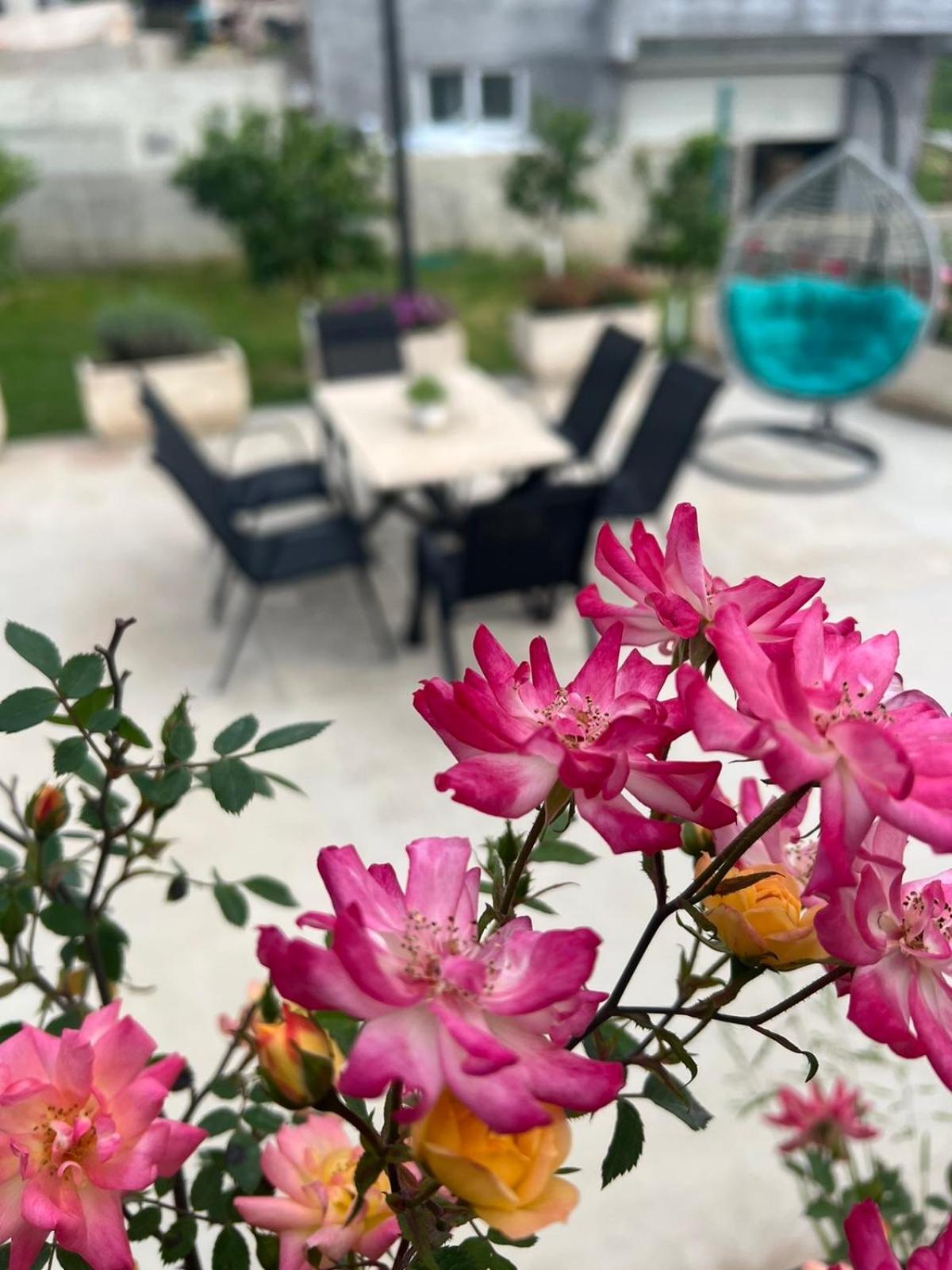 Sunny Hill - Parking - Fenced Garden - Luxury Loft Apartment Kotor Exterior foto